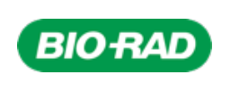 businesscorporation-05
